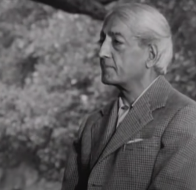Thomas Böhm